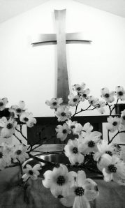 10260024_10152413103901255_4037721638752366033_n