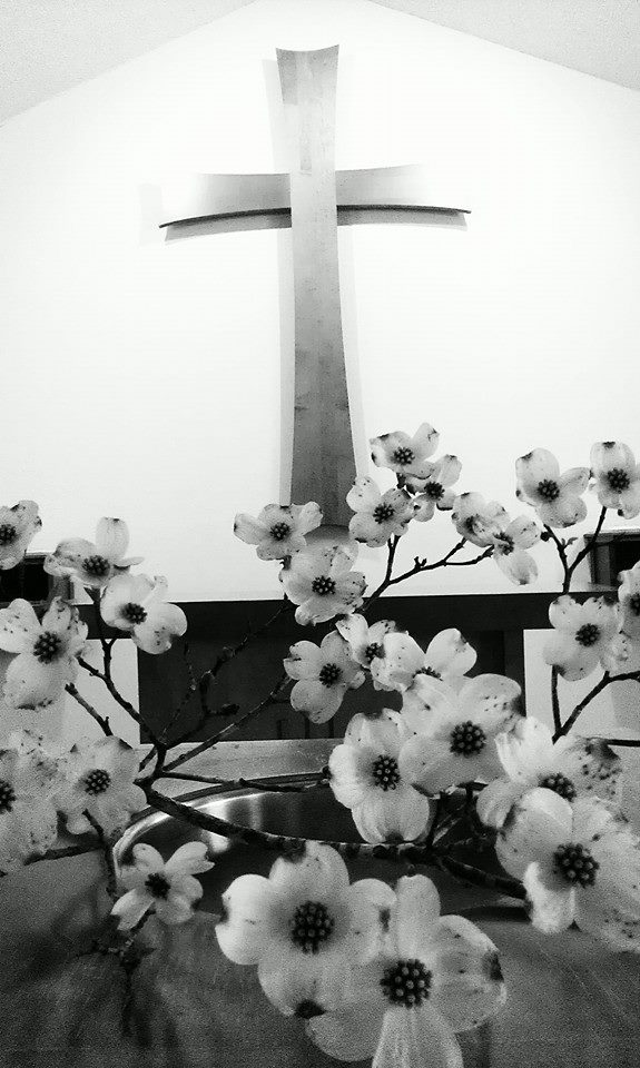 10260024_10152413103901255_4037721638752366033_n