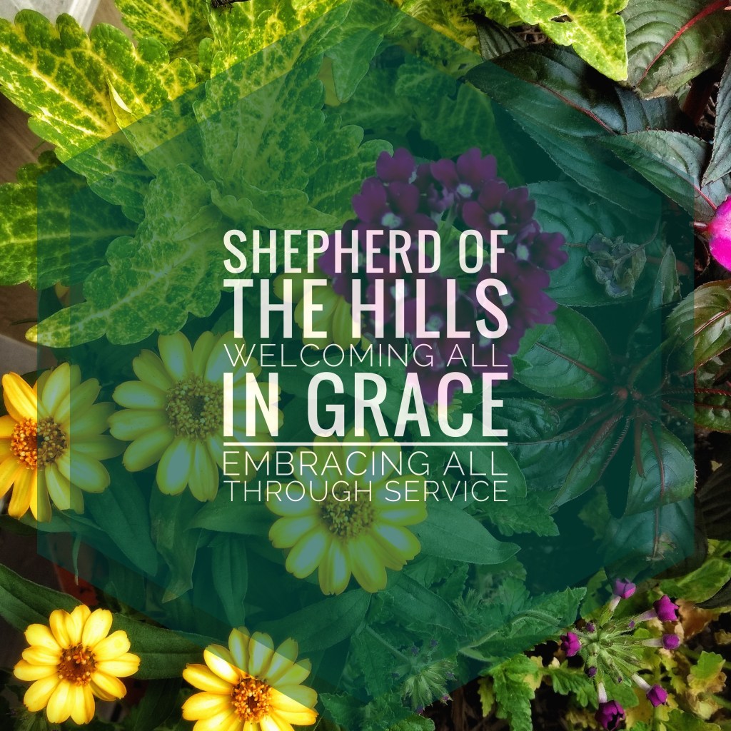 IMG_20180704_181229_928